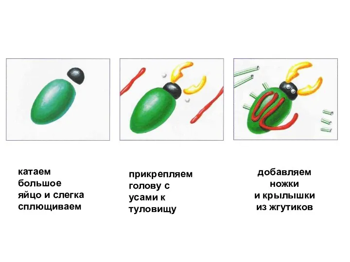 катаем большое яйцо и слегка сплющиваем прикрепляем голову с усами к