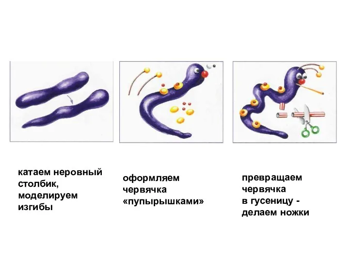 катаем неровный столбик, моделируем изгибы оформляем червячка «пупырышками» превращаем червячка в гусеницу - делаем ножки