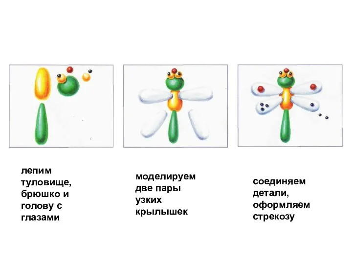 лепим туловище, брюшко и голову с глазами моделируем две пары узких крылышек соединяем детали, оформляем стрекозу
