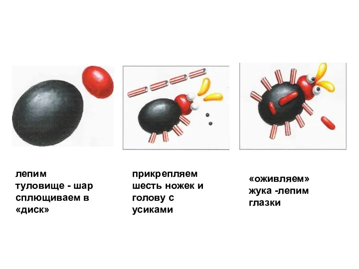 лепим туловище - шар сплющиваем в «диск» прикрепляем шесть ножек и