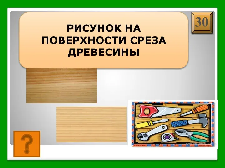 ТЕКСТУРА РИСУНОК НА ПОВЕРХНОСТИ СРЕЗА ДРЕВЕСИНЫ