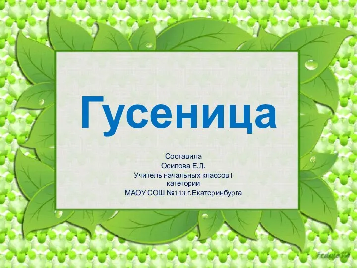 Гусеница Составила Осипова Е.Л. Учитель начальных классов I категории МАОУ СОШ №113 г.Екатеринбурга