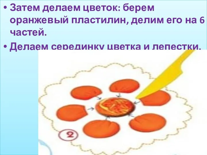 Затем делаем цветок: берем оранжевый пластилин, делим его на 6 частей. Делаем серединку цветка и лепестки.