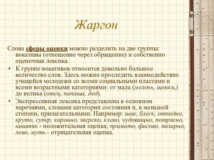 Жаргон Слова сферы оценки можно разделить на две группы: вокативы (отношение