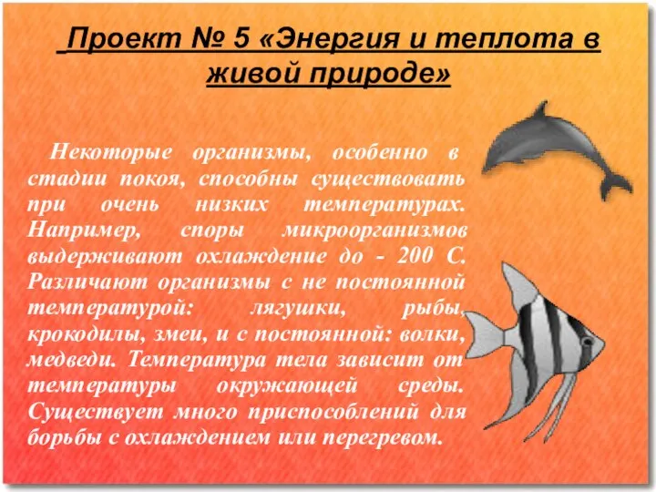 Проект № 5 «Энергия и теплота в живой природе» Некоторые организмы,