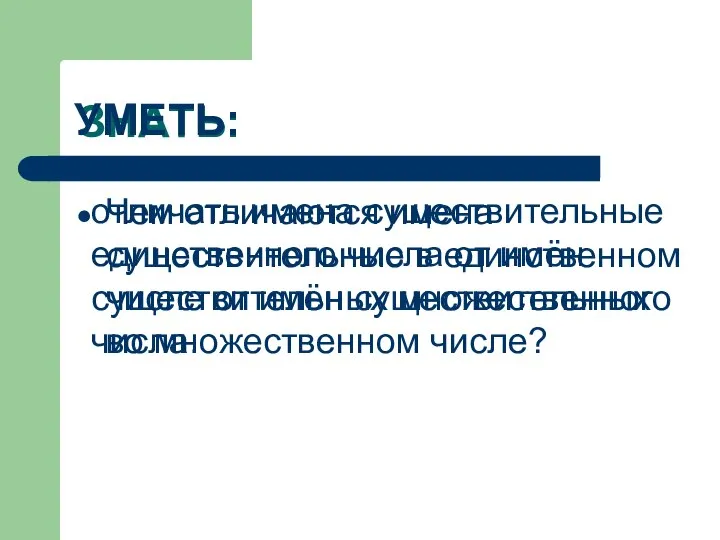 ЗНАТЬ: Чем отличаются имена существительные в единственном числе от имён существительных