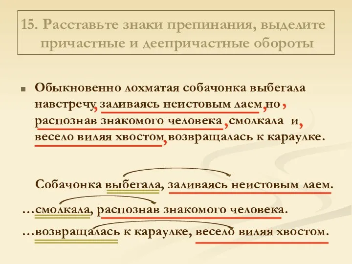 15. Расставьте знаки препинания, выделите причастные и деепричастные обороты Обыкновенно лохматая