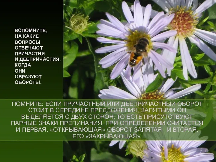 ВСПОМНИТЕ, НА КАКИЕ ВОПРОСЫ ОТВЕЧАЮТ ПРИЧАСТИЯ И ДЕЕПРИЧАСТИЯ, КОГДА ОНИ ОБРАЗУЮТ