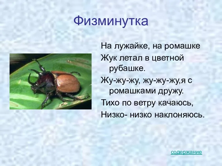 Физминутка На лужайке, на ромашке Жук летал в цветной рубашке. Жу-жу-жу,