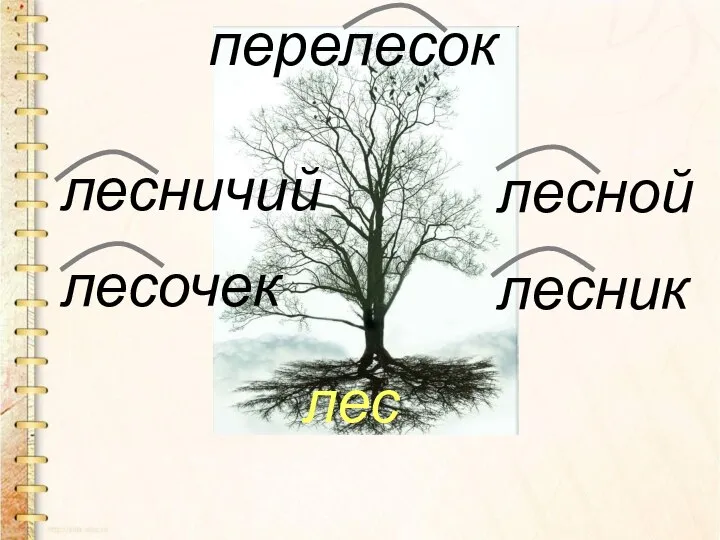 лес лесник лесной лесочек лесничий перелесок