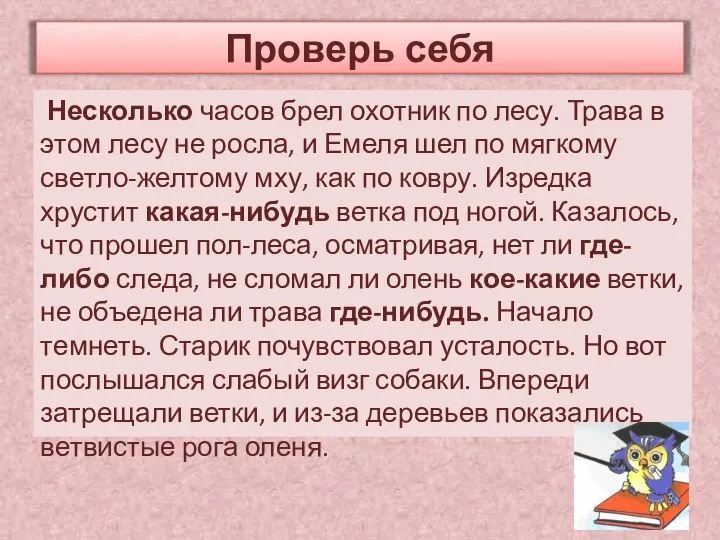 Несколько часов брел охотник по лесу. Трава в этом лесу не