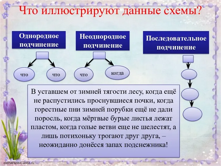 Что иллюстрируют данные схемы? Однородное подчинение что что Неоднородное подчинение что