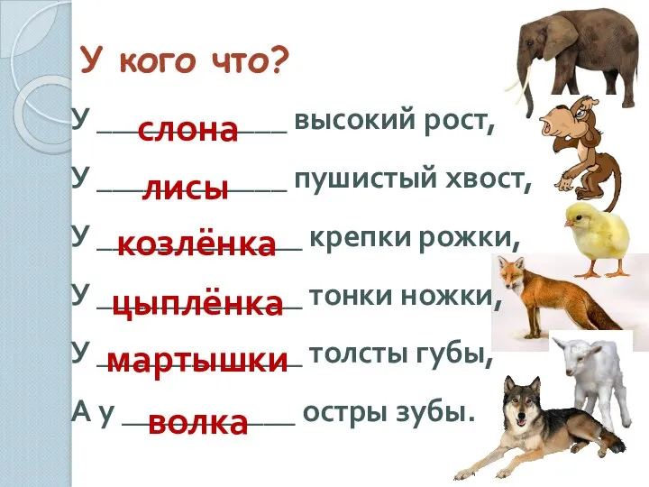 У кого что? У ____________ высокий рост, У ____________ пушистый хвост,