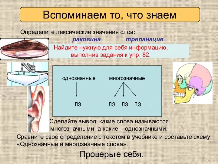 Раковина Трепанация 1) 1) 2) 3) 4) Определите лексические значения слов: