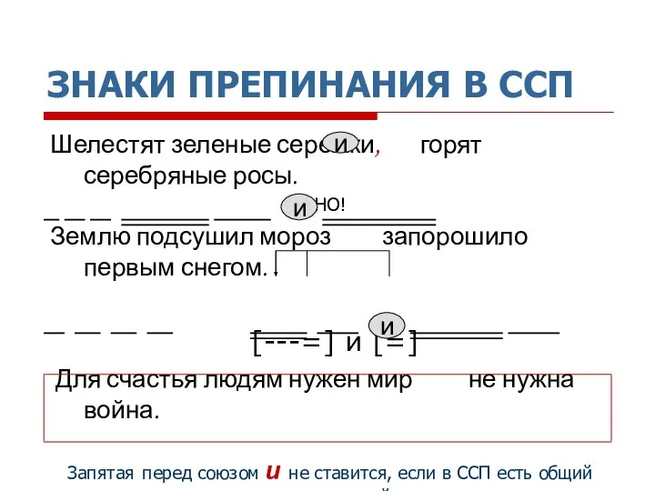 ЗНАКИ ПРЕПИНАНИЯ В ССП Шелестят зеленые сережки, горят серебряные росы. НО!