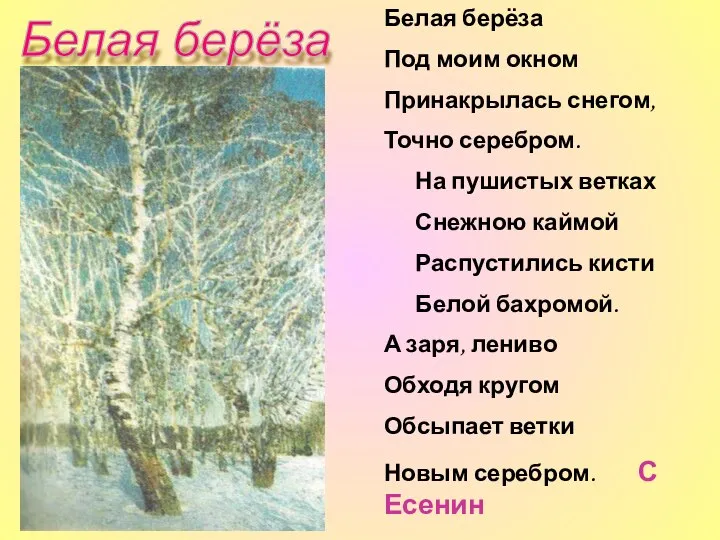 Белая берёза Под моим окном Принакрылась снегом, Точно серебром. На пушистых