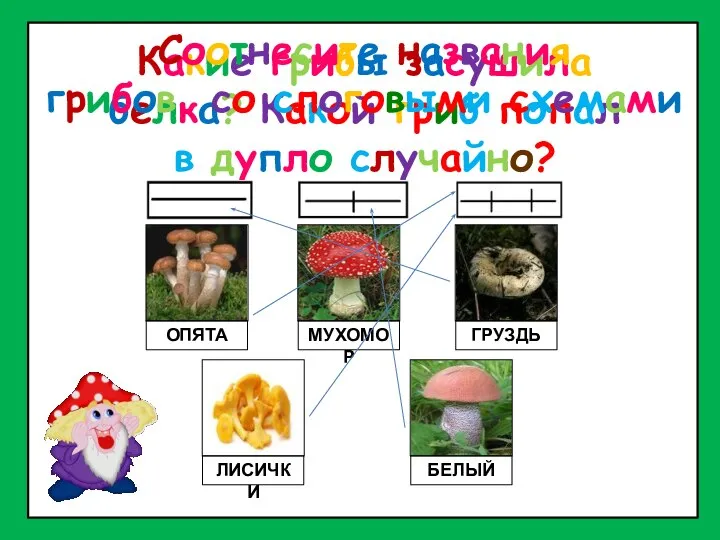 Какие грибы засушила белка? Какой гриб попал в дупло случайно? ОПЯТА