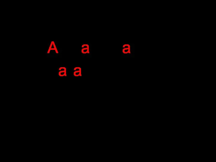 Алфавит, арбуз, магазин, звонит, звонят, позвонишь, позвонят.