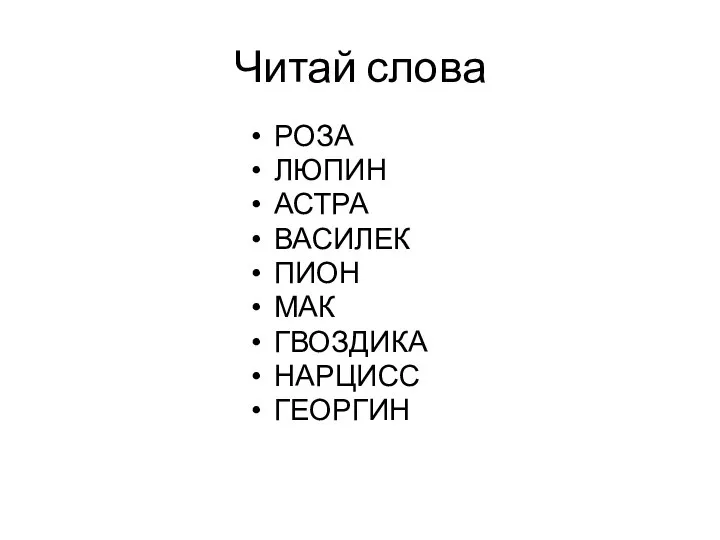 Читай слова РОЗА ЛЮПИН АСТРА ВАСИЛЕК ПИОН МАК ГВОЗДИКА НАРЦИСС ГЕОРГИН