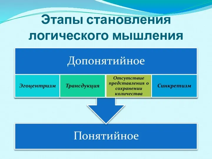 Этапы становления логического мышления