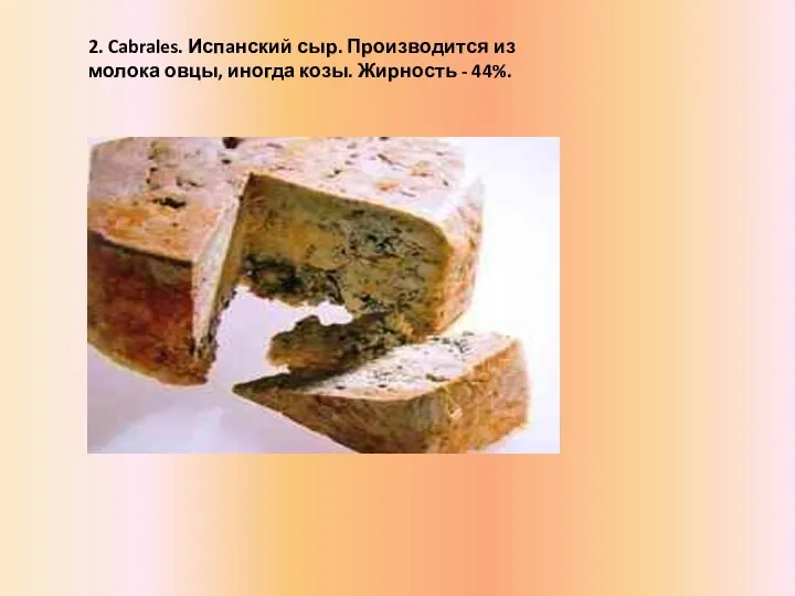 2. Cabrales. Испaнский сыр. Производится из молока овцы, иногда козы. Жирность - 44%.