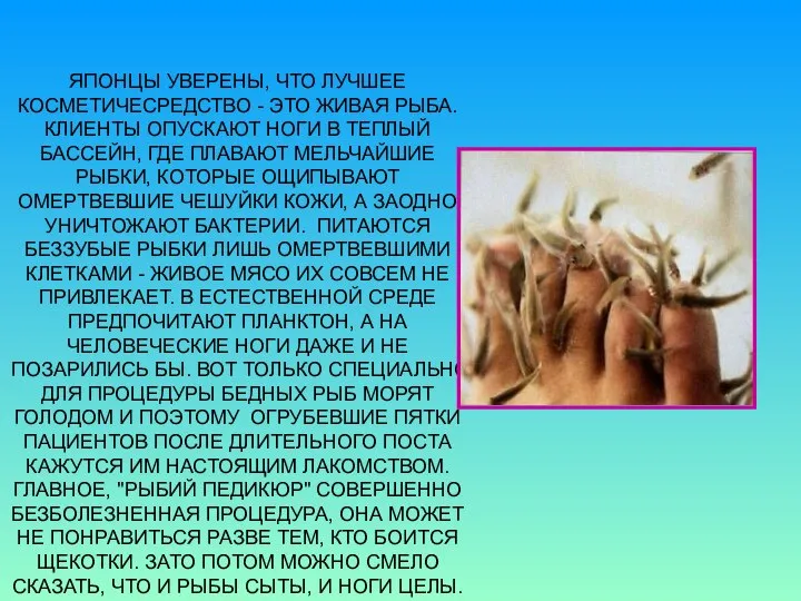 ЯПОНЦЫ УВЕРЕНЫ, ЧТО ЛУЧШЕЕ КОСМЕТИЧЕСРЕДСТВО - ЭТО ЖИВАЯ РЫБА. КЛИЕНТЫ ОПУСКАЮТ