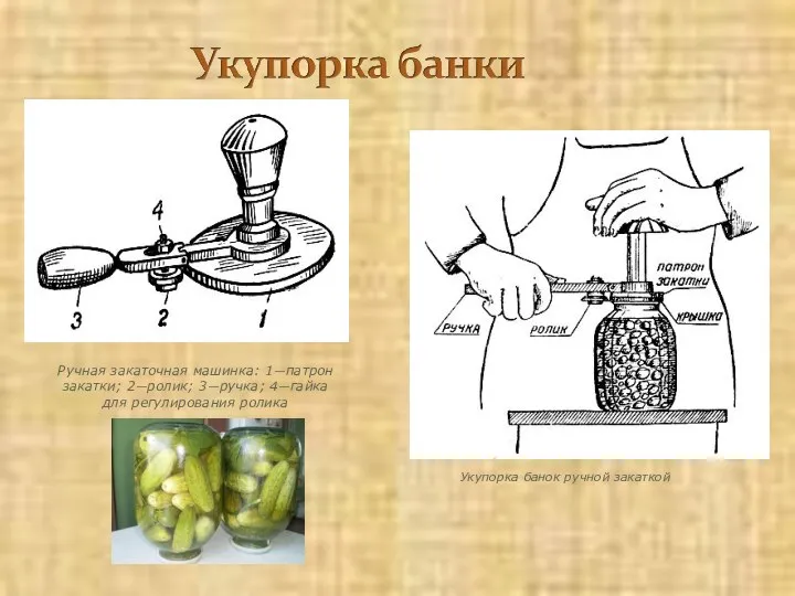 Укупорка банок ручной закаткой Ручная закаточная машинка: 1—патрон закатки; 2—ролик; 3—ручка; 4—гайка для регулирования ролика