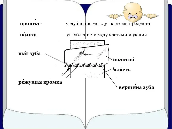 пропил - пазуха - шаг зуба режущая кромка вершина зуба 