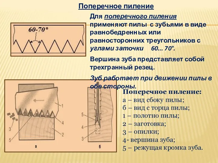 Поперечное пиление Для поперечного пиления применяют пилы с зубьями в виде