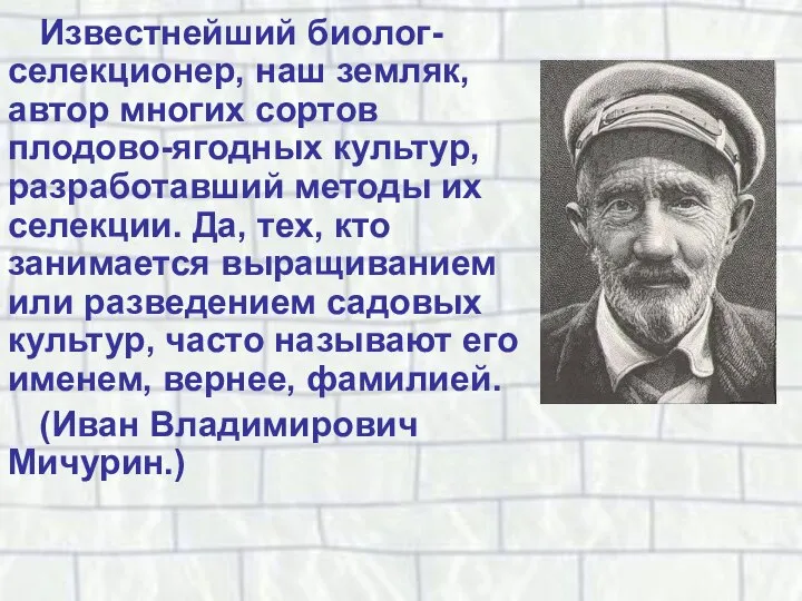 Известнейший биолог-селекционер, наш земляк, автор многих сортов плодово-ягодных культур, разработавший методы