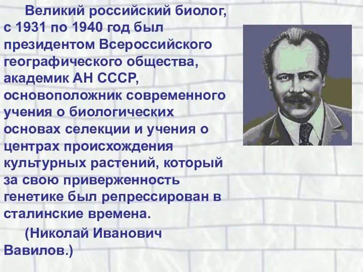 Великий российский биолог, с 1931 по 1940 год был президентом Всероссийского