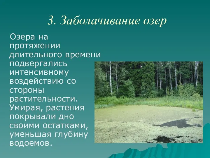 3. Заболачивание озер Озера на протяжении длительного времени подвергались интенсивному воздействию