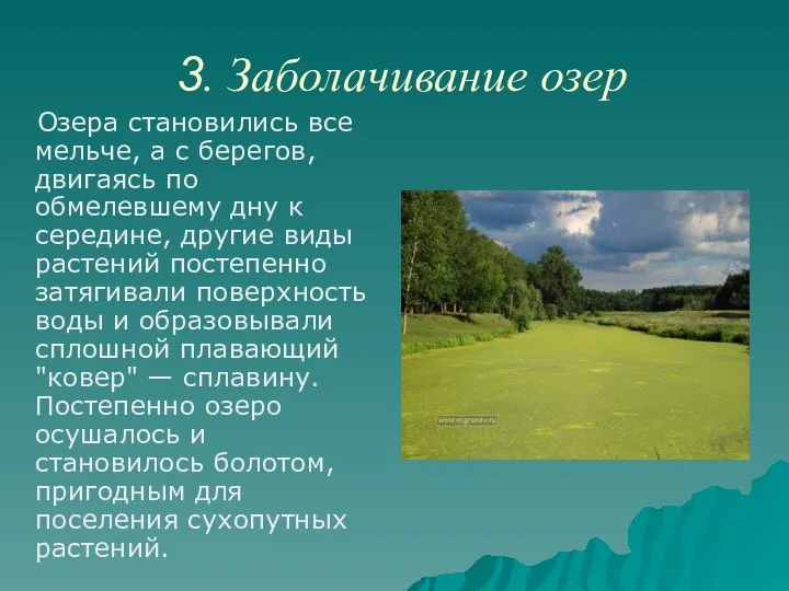 3. Заболачивание озер Озера становились все мельче, а с берегов, двигаясь