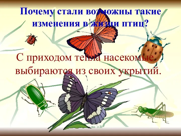 Анатольева Э.В. Почему стали возможны такие изменения в жизни птиц? С