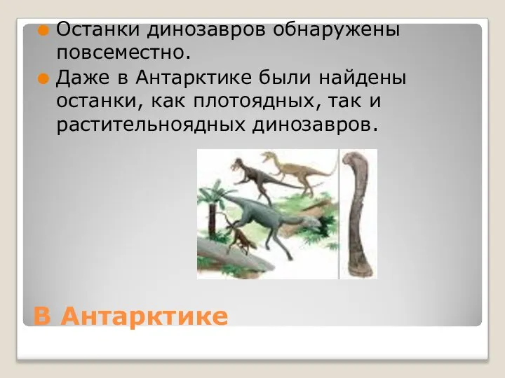 В Антарктике Останки динозавров обнаружены повсеместно. Даже в Антарктике были найдены