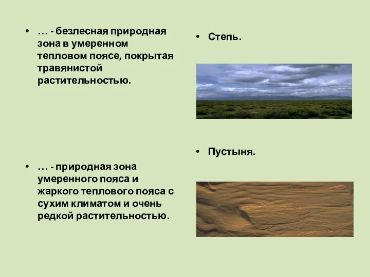 … - безлесная природная зона в умеренном тепловом поясе, покрытая травянистой