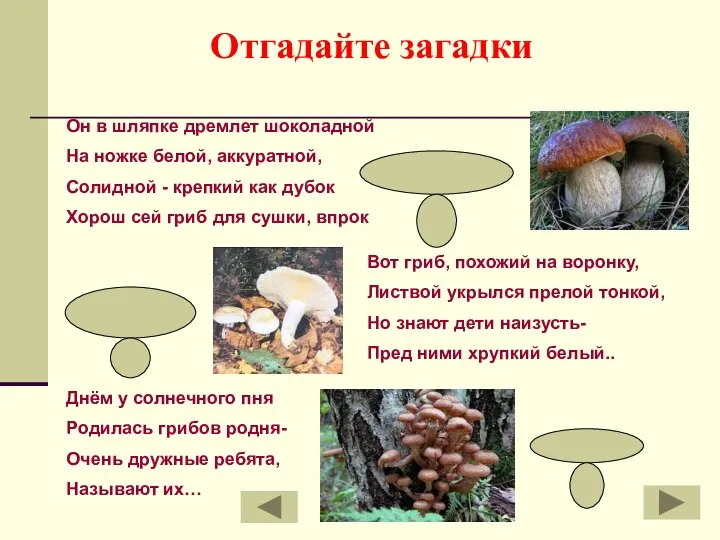 боровик груздь опята Отгадайте загадки Он в шляпке дремлет шоколадной На