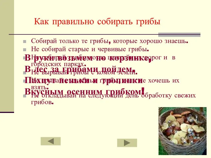 Как правильно собирать грибы Собирай только те грибы, которые хорошо знаешь.