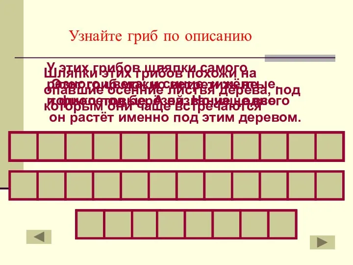 Этот гриб можно встретить не только под берёзой. Но чаще всего