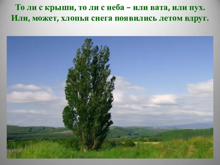 То ли с крыши, то ли с неба – или вата,