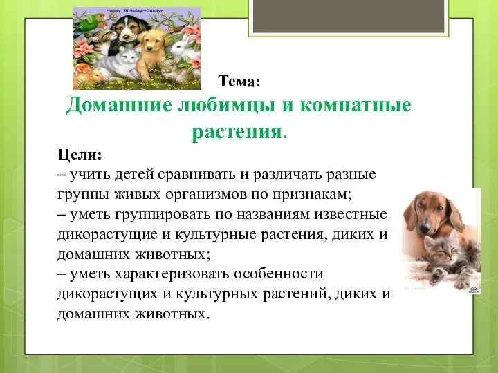 Тема: Домашние любимцы и комнатные растения. Цели: – учить детей сравнивать