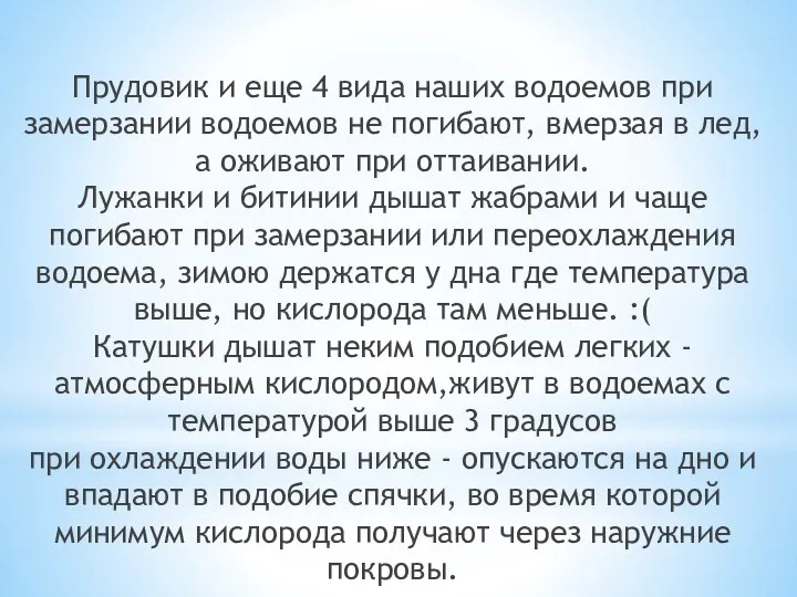 Прудовик и еще 4 вида наших водоемов при замерзании водоемов не