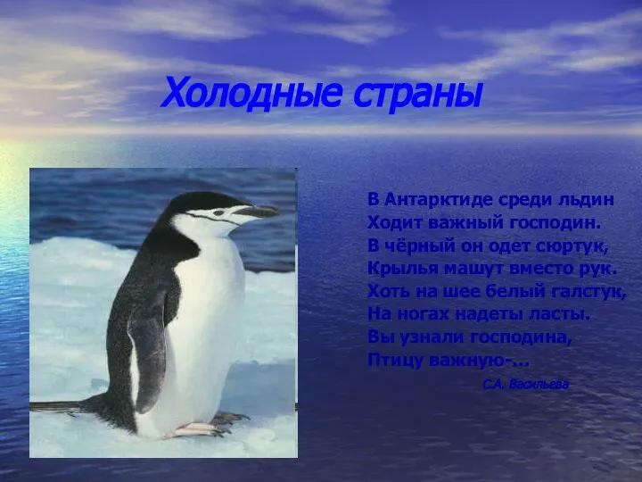 Холодные страны В Антарктиде среди льдин Ходит важный господин. В чёрный