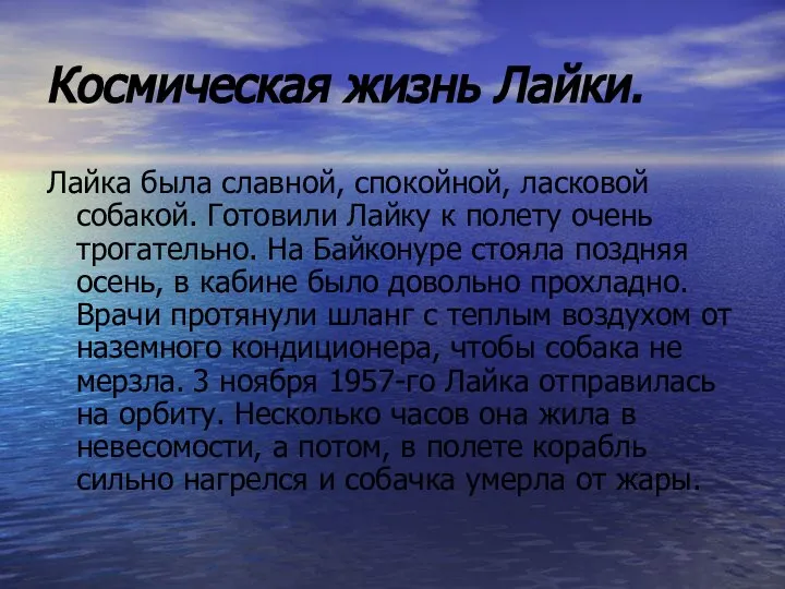 Космическая жизнь Лайки. Лайка была славной, спокойной, ласковой собакой. Готовили Лайку