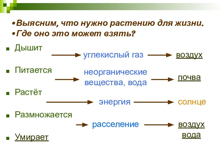 Дышит Питается Растёт Размножается Умирает углекислый газ воздух неорганические вещества, вода