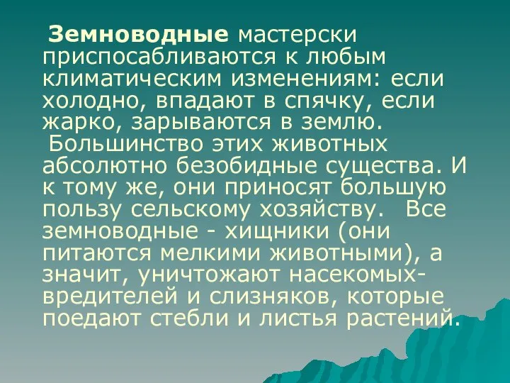 Земноводные мастерски приспосабливаются к любым климатическим изменениям: если холодно, впадают в