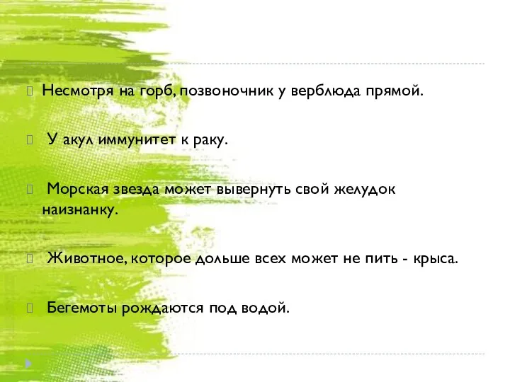 Несмотря на горб, позвоночник у верблюда прямой. У акул иммунитет к