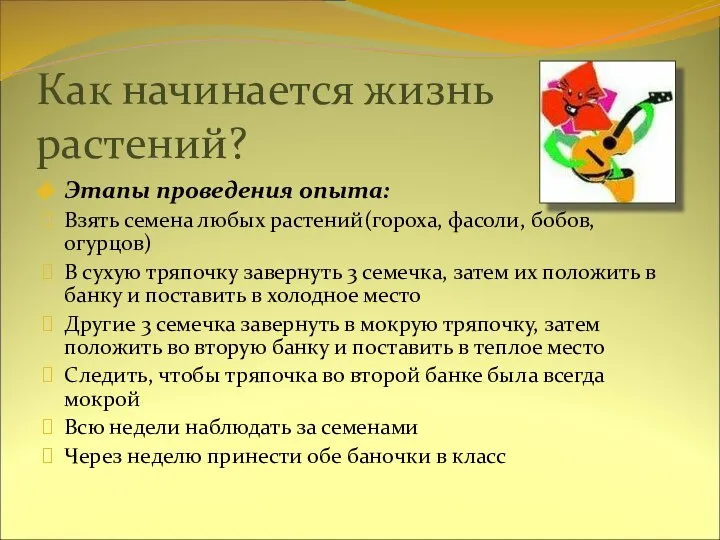 Как начинается жизнь растений? Этапы проведения опыта: Взять семена любых растений(гороха,