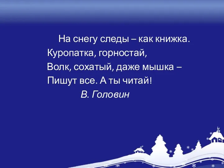 На снегу следы – как книжка. Куропатка, горностай, Волк, сохатый, даже