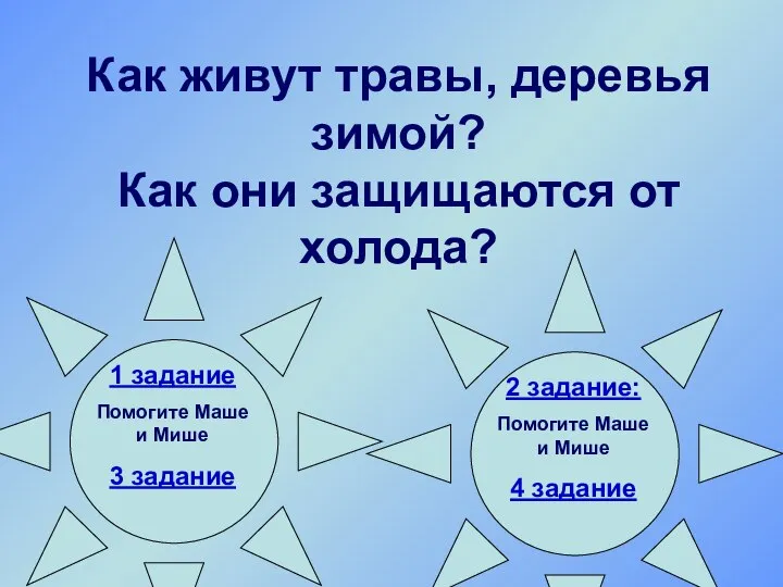 Как живут травы, деревья зимой? Как они защищаются от холода? 1